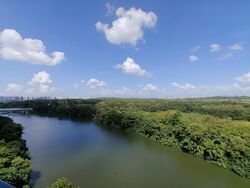 Kingsford Waterbay (D19), Apartment #568173771